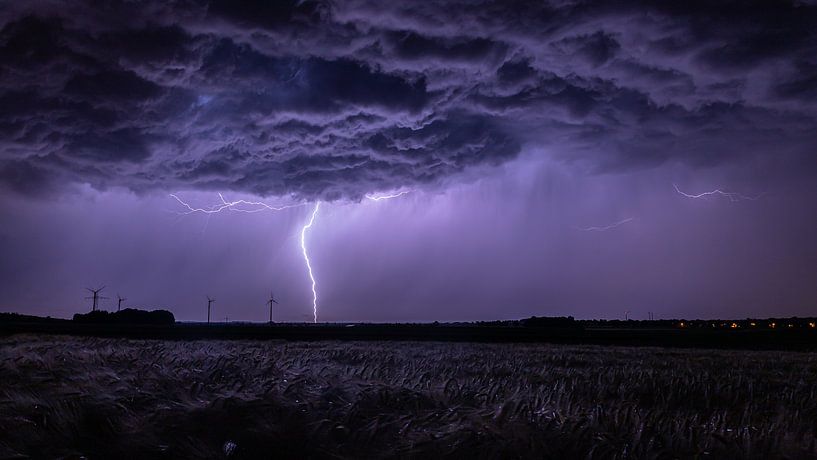 Boom ! Coup de foudre par Donny Kardienaal
