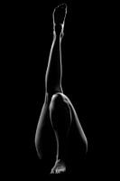 Artistic legs