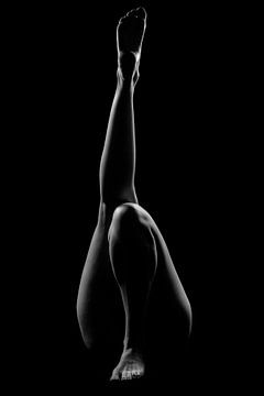 Artistic legs by Dennis Das