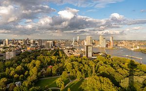 Rotterdam vu d'en haut : Une vue de l'heure d'or depuis l'Euromast