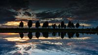 Spiegeling