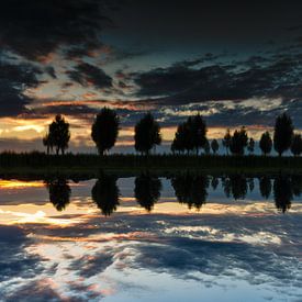 Spiegeling van TenZ .NL