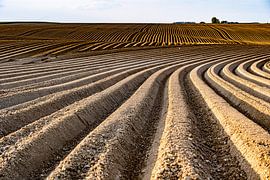 Lines in the sand by Foto UiterwijkWinkel