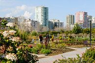 La ville d'Adana vue du parc central par Martin Stevens Aperçu