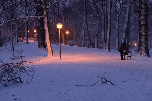 Park Servaasbolwerk / Sonnenborgh in Utrecht
