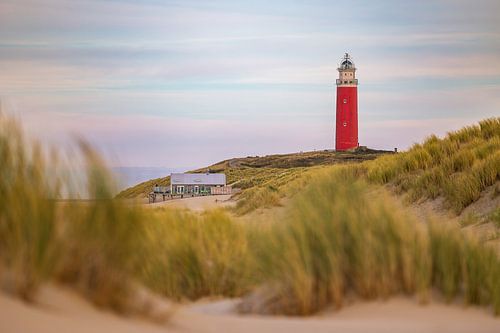 Doorkijk langs de duinen naar de Vuurtoren van Texel
