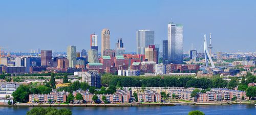 Skyline van Rotterdam met uitzicht op de Erasmusbrug