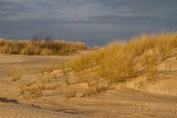 Sanddrift von Aalt van Tongeren