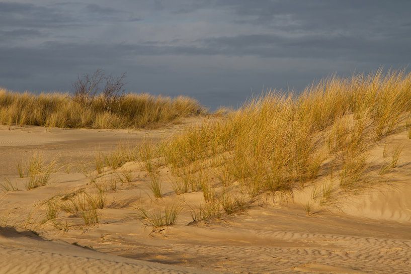 Dérive de sable par Aalt van Tongeren