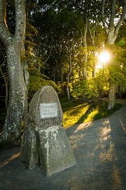 Victoria view by Lukas Fiebiger