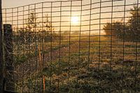 Herfstdag met zonsopkomst en ochtendmist