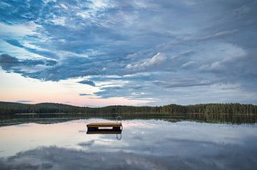 Drijvend eiland in een Zweeds meer van Martin Köbsch