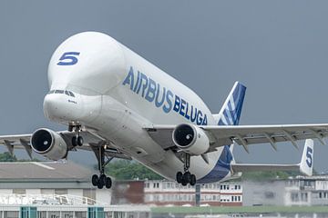 De Airbus Beluga nummer 5 is opgestegen van Hamburg-Finkenwerder. van Jaap van den Berg