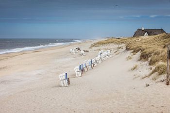 Strandkörbe am Weststrand in Kampen, Sylt