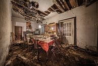 The dilapidated dining room by Inge van den Brande thumbnail