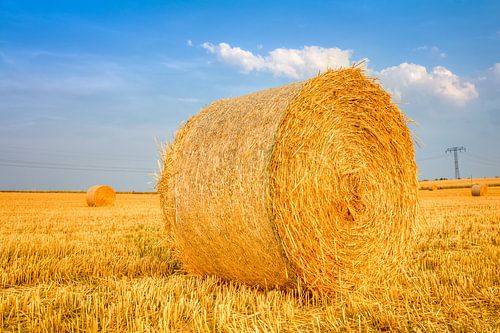 Erntezeit – Die Ruhe der Felder von Michel Lask