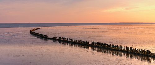 Lever de soleil sur la mer des Wadden