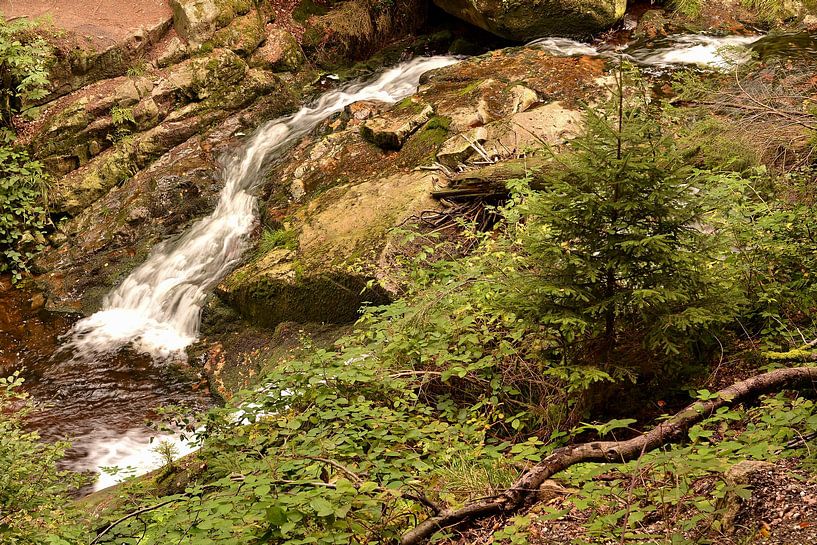 The river Ilse in the Harz National Park by Heiko Kueverling