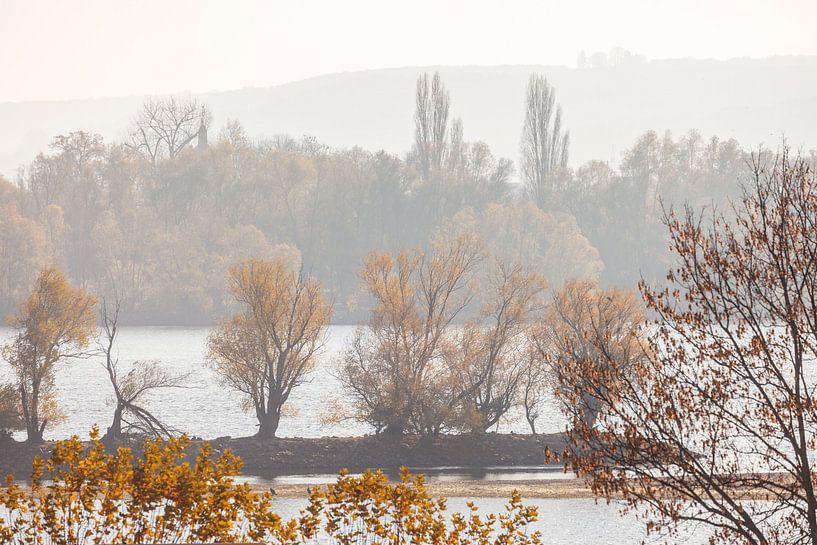 Mildes Herbstlicht am Rhein bei Oestrich-Winkel, Rheingau van Christian Müringer