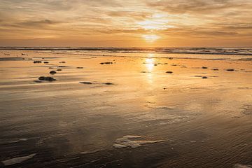 Seascape with North Sea beach at sunset by eric van der eijk