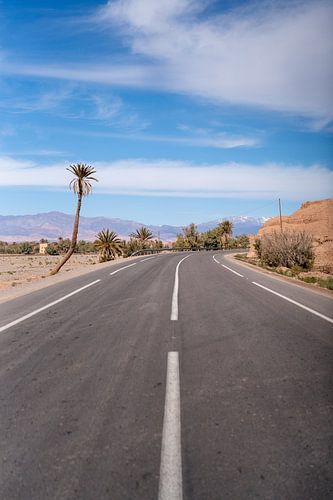 De weg naar de woestijn
