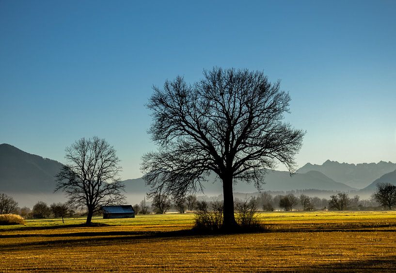 Frühlingszeit von artpictures.de