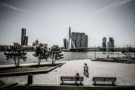 Erasmus brug Rotterdam. van Brian Morgan thumbnail