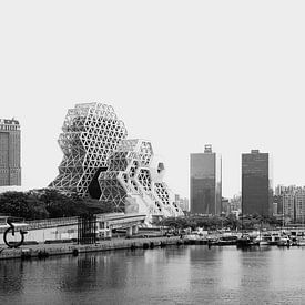 De skyline van Kaohsiung in zwart-wit: een havenpanorama met het Music Center en de 85 Sky Tower van NZME Photography