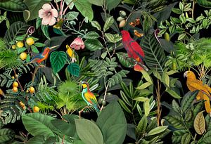 Dans le paradis tropical des oiseaux sur Andrea Haase