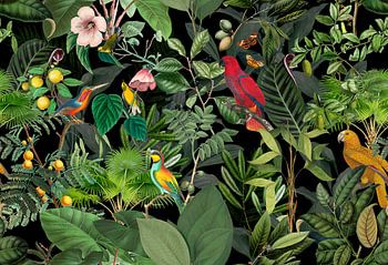 In the tropical paradise of birds