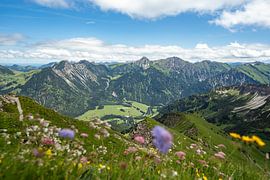 Blumige Aussicht auf Hinterstein und die Allgäuer Alpen von Leo Schindzielorz