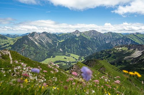 Bloemrijk uitzicht op Hinterstein en de Allgäuer Alpen