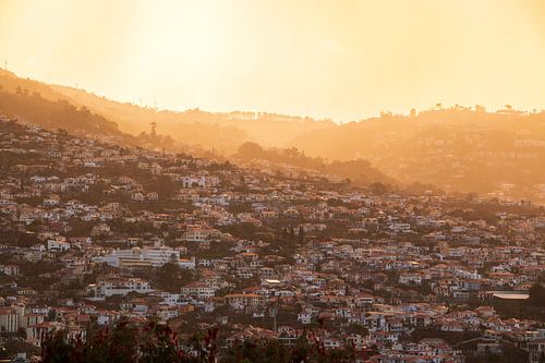 Zonsopkomst over Funchal van Nynke Altenburg