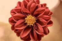 Rode dahlia