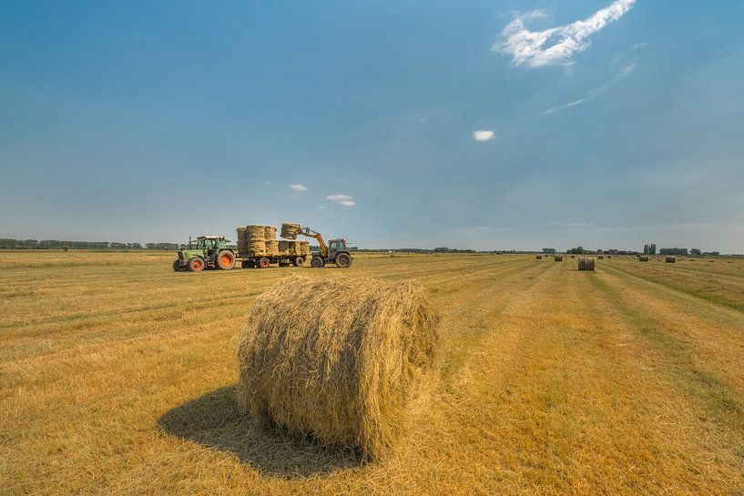 Hooirollen - Hooibalen op akker van Moetwil en van Dijk - Fotografie