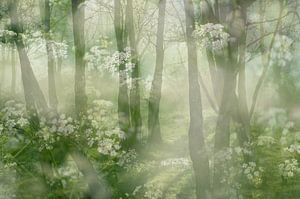 Walking in a dream (Fantasy world with trees and flutes))