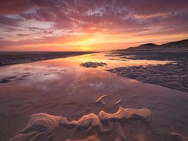 Farbenpracht am Strand von Bugh-Haamstede in Zeeland von Bas Meelker