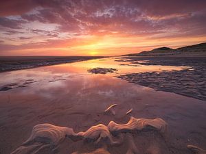 Farbenpracht am Strand von Bugh-Haamstede in Zeeland