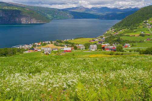 View over Utvik and Nordfjorden, Vestland, Norway