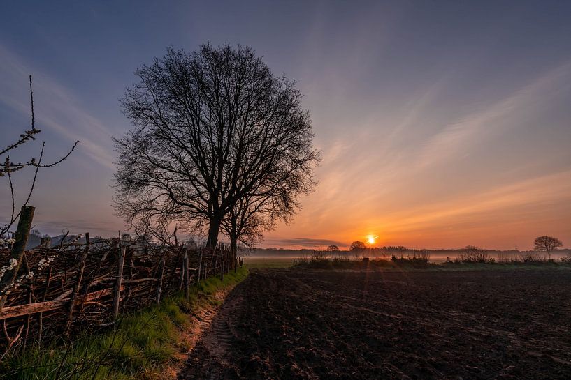 Lever de soleil avec brouillard sur une prairie par Dafne Vos