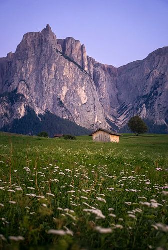 Alpages et refuge du Monte Sciliar (1) sur Luc van der Krabben