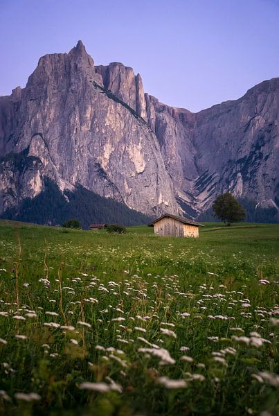 Alpages et refuge du Monte Sciliar (1) par Luc van der Krabben