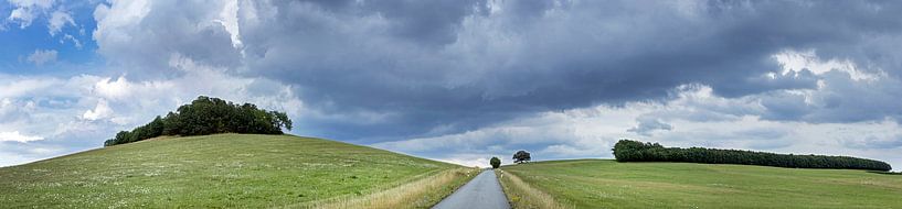 Rolling countryside and country road in Saxony Germany by Albert Brunsting
