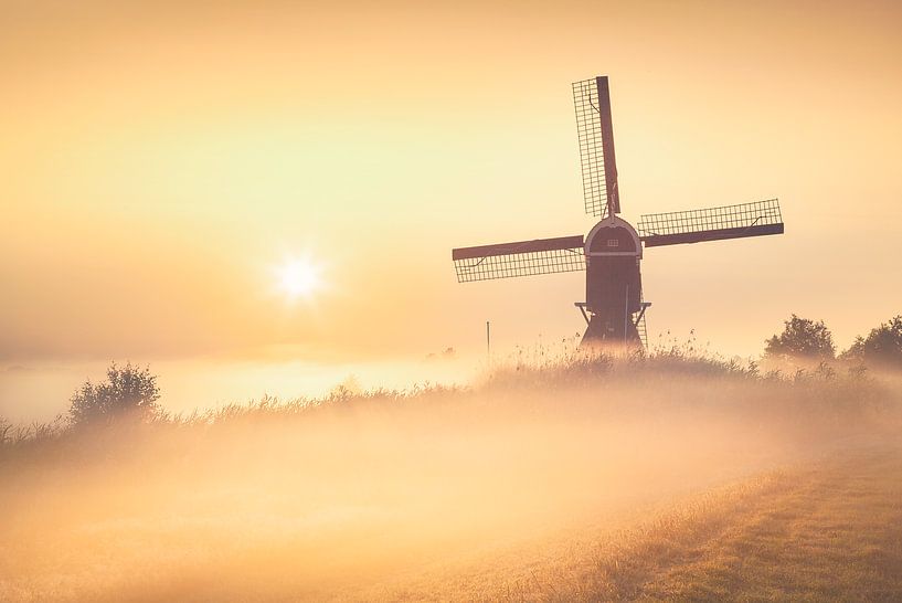 Morgengold von Halma Fotografie