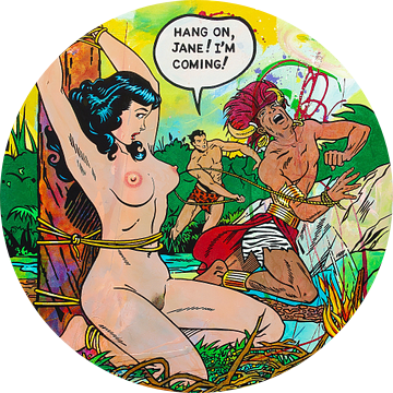Hang On Jane! van Frans Mandigers