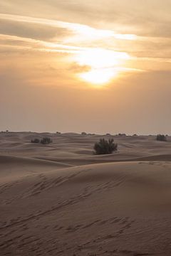 Dubai Desert I van Chantal Cornet