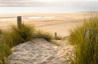 Strandzicht vanuit de duinen van Marloes van Pareren thumbnail