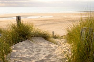 Strandzicht vanuit de duinen van Marloes van Pareren