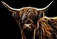 The Scottish Highlander