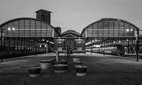 The Hague Hollands Spoor